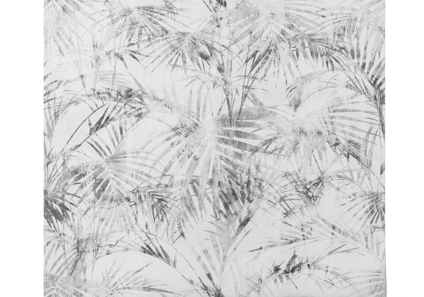 Papier Peint Panoramique Palmier Noir Et Blanc