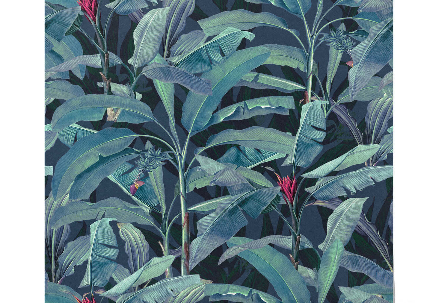 Papier Peint Tropical Bleu Canard