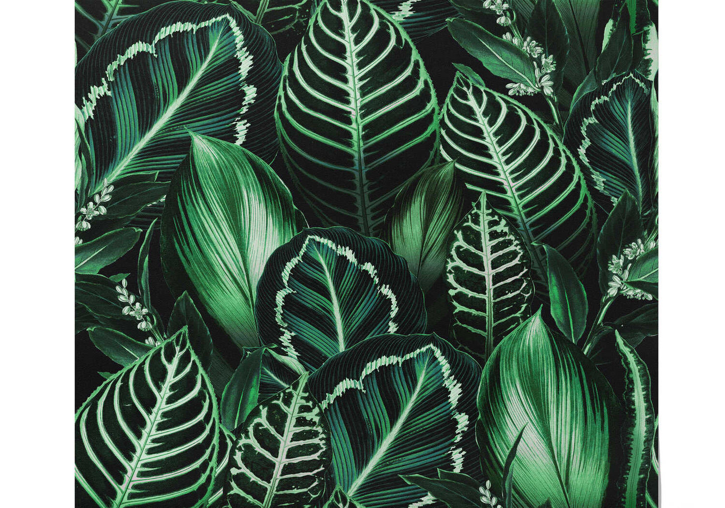 Papier Peint Tropical Vert