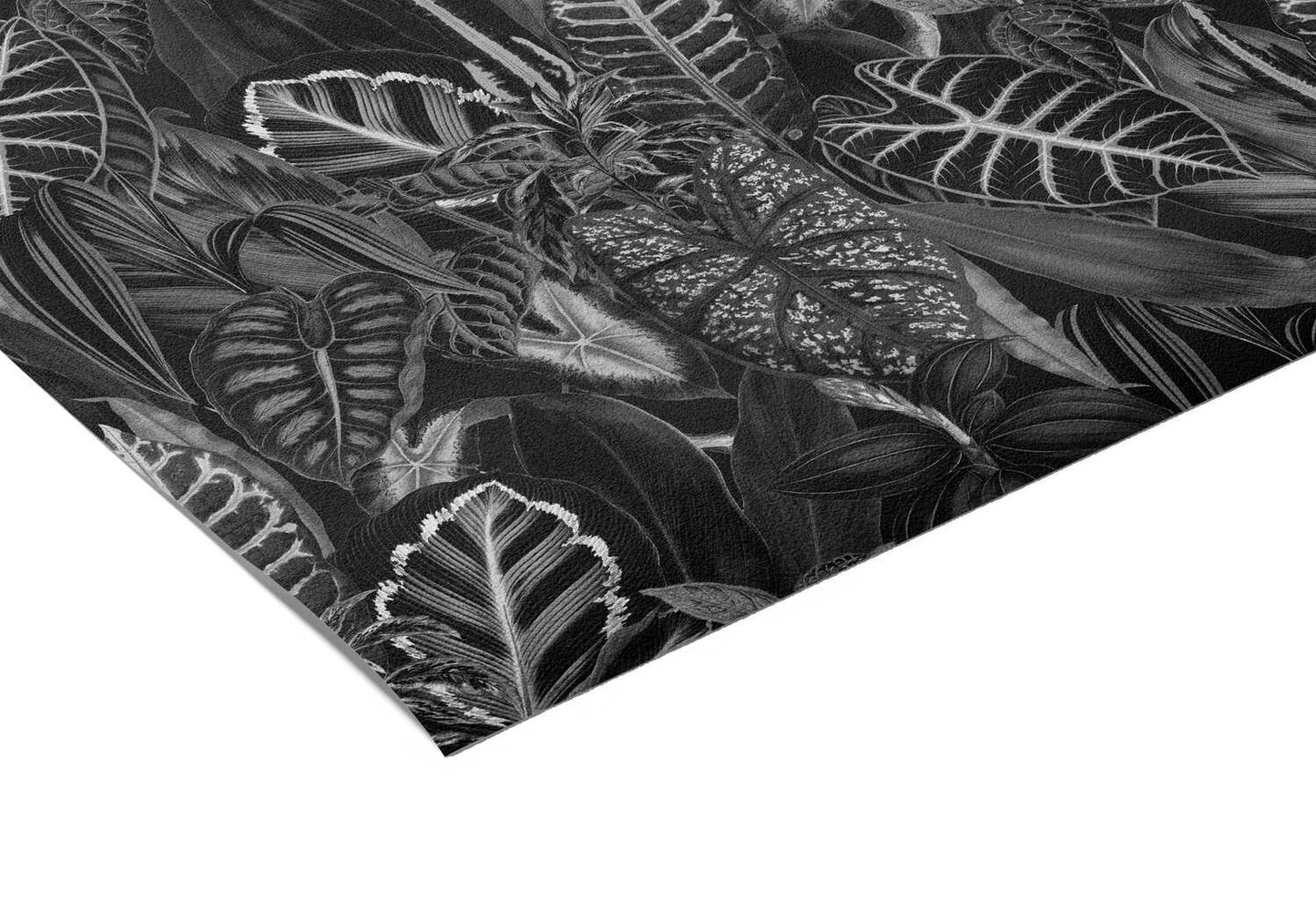Tropical Papier Peint Jungle Noir Et Blanc