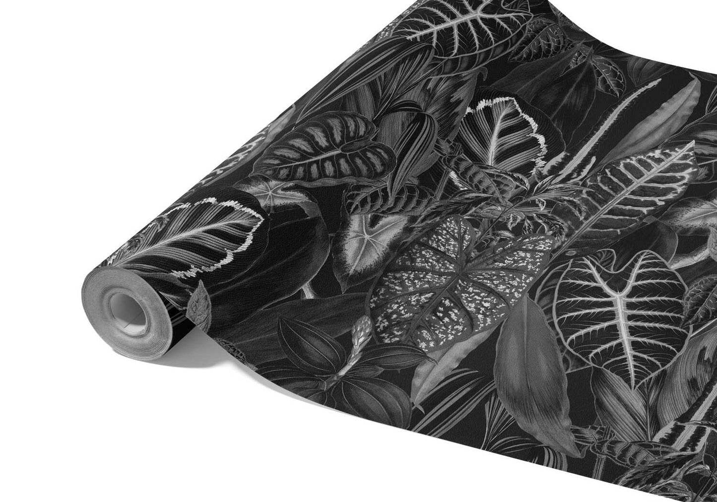 Tropical Papier Peint Jungle Noir Et Blanc