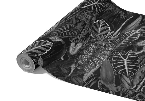 Tropical Papier Peint Jungle Noir Et Blanc | Wall Pure