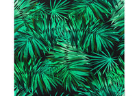 Papier Peint Feuille De Palmier