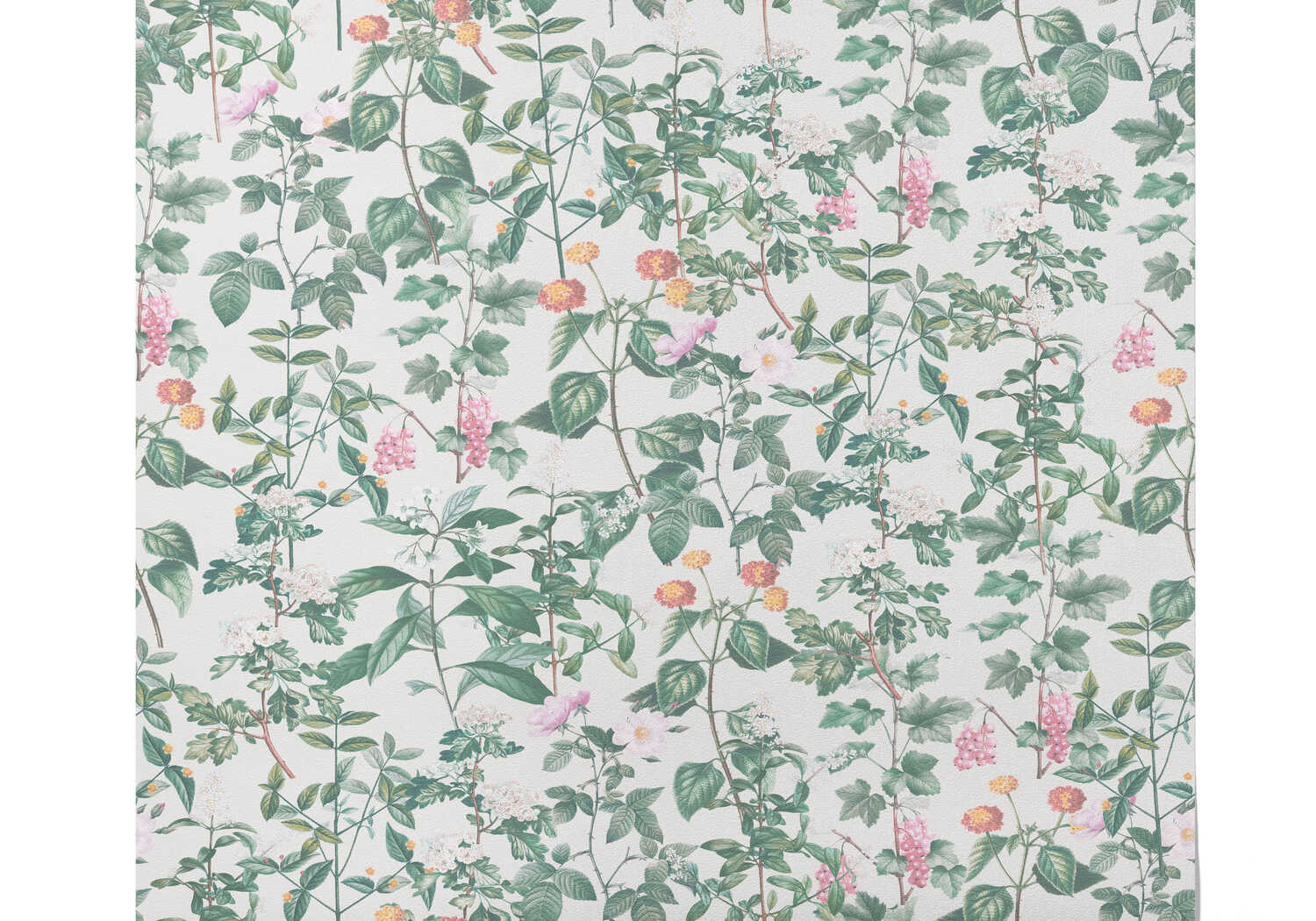 Papier Peint Floral