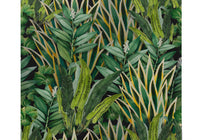 Papier Peint Jungle Tropical