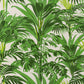 Papier Peint Palmier Vert