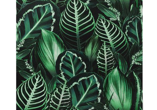 Échantillon du motif Papier Peint Tropical Vert