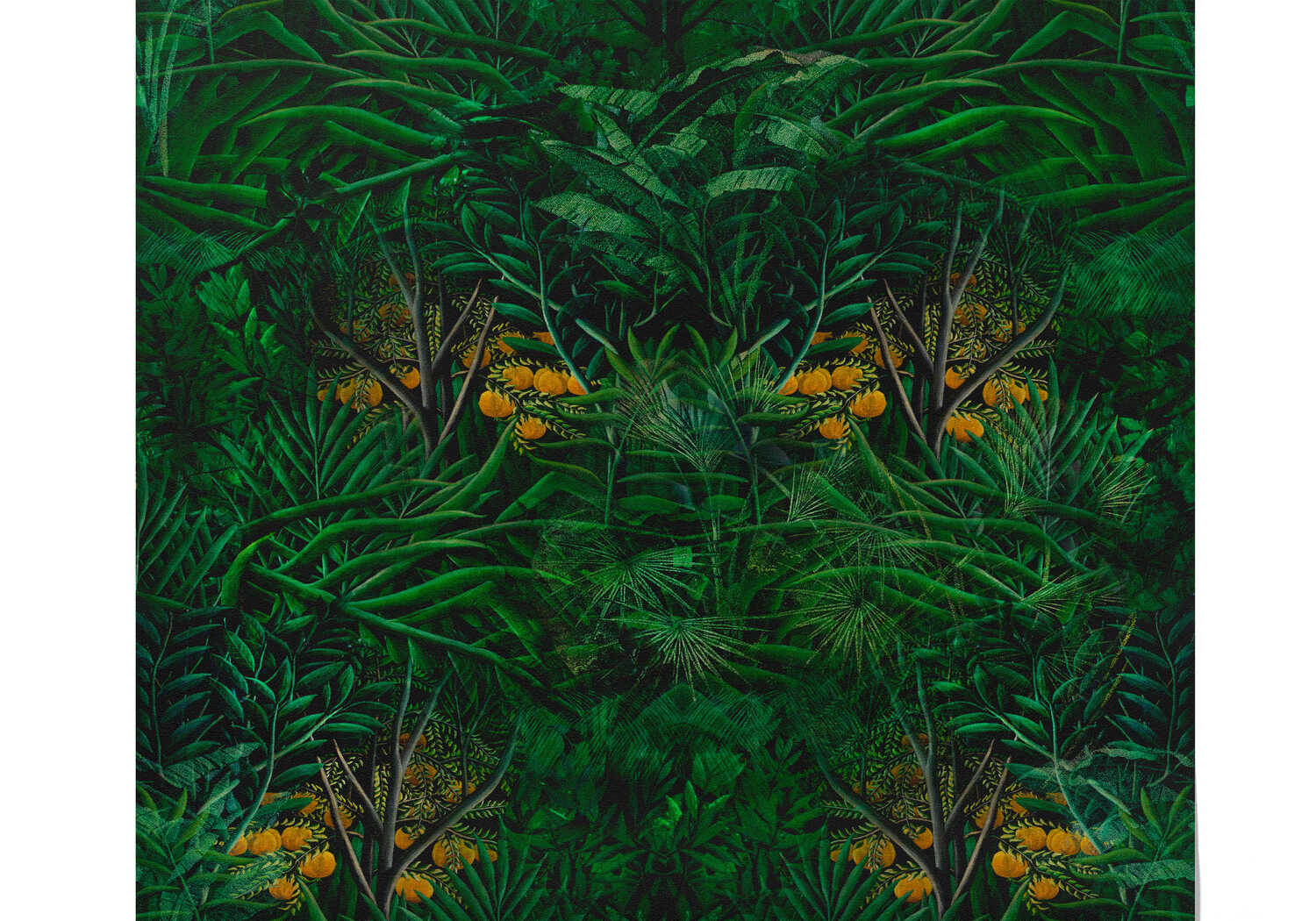 Papiers Peints Tropical