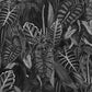 Tropical Papier Peint Jungle Noir Et Blanc