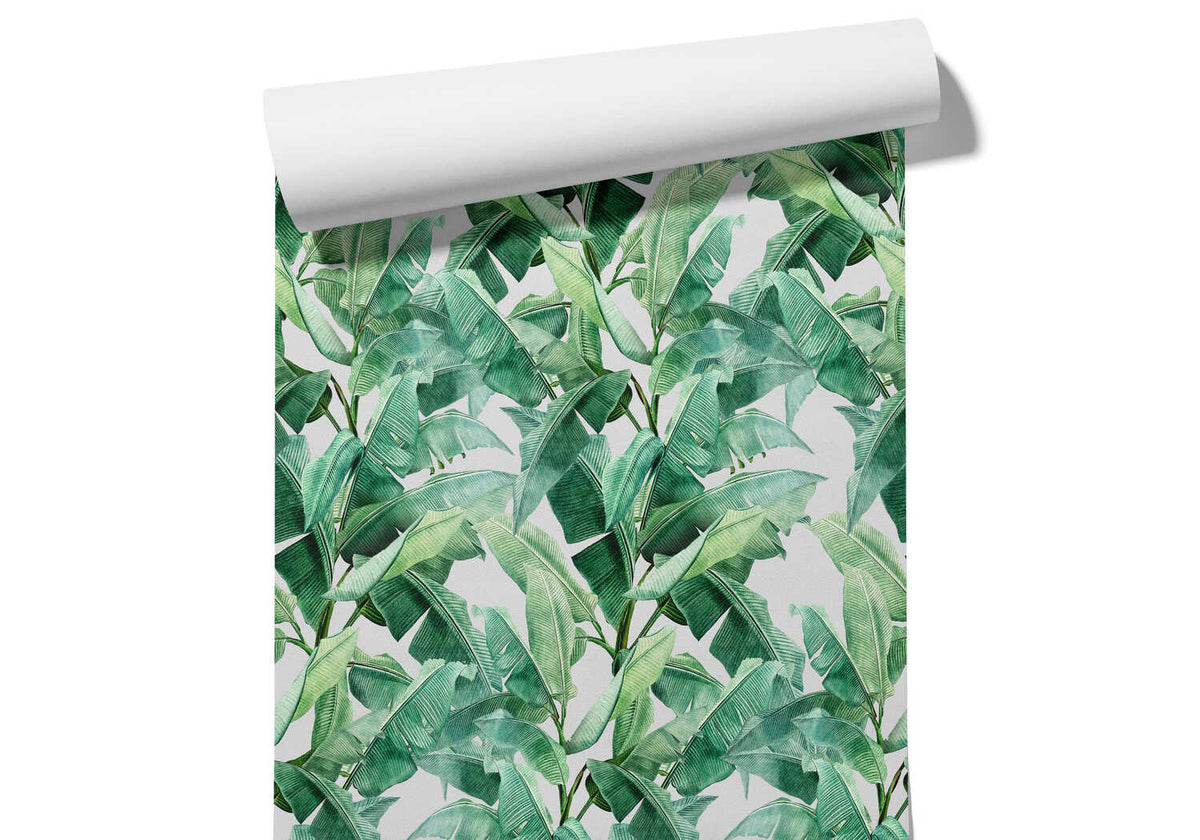 Papier Peint Feuille De Bananier