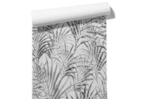 Papier Peint Palmier Noir Et Blanc