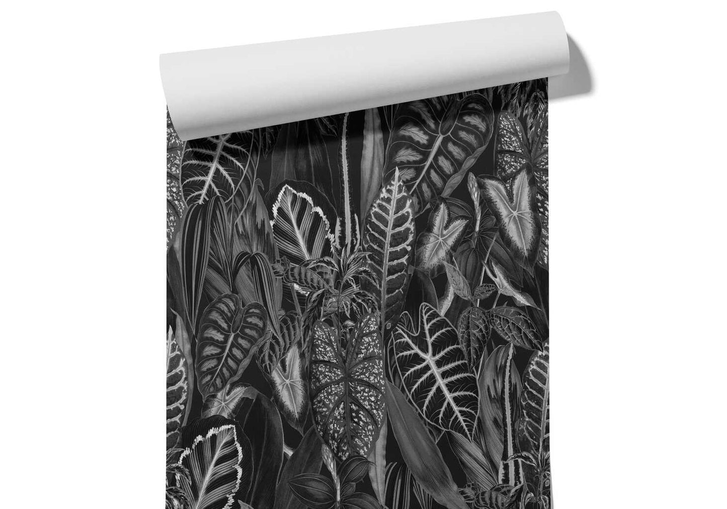 Tropical Papier Peint Jungle Noir Et Blanc