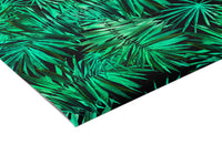 Papier Peint Feuille De Palmier