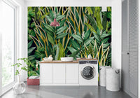 Papier Peint Jungle Tropical